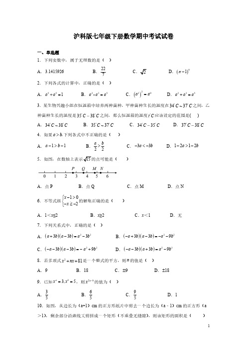 沪科版七年级下册数学期中考试试题含答案