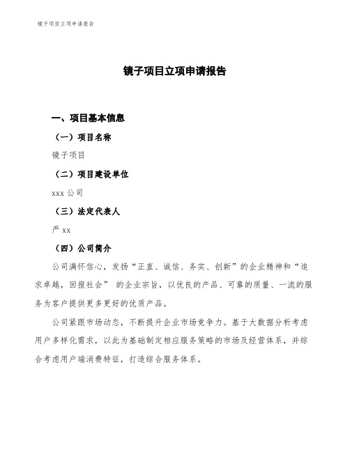 镜子项目立项申请报告
