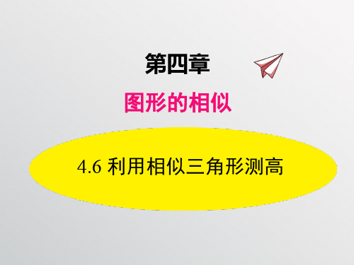 4.6 利用相似三角形测高