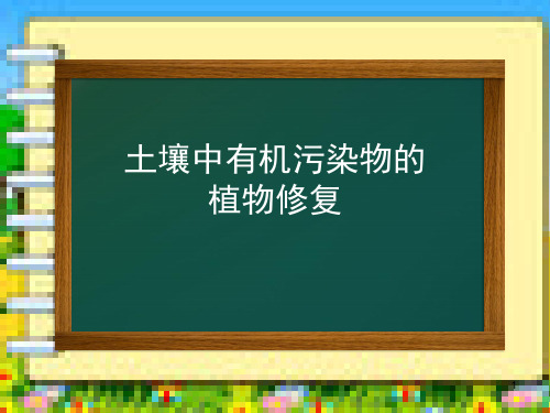 植物修复有机物污染土壤.pptx
