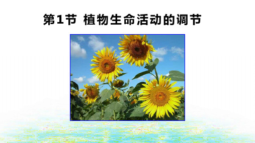 八年级上《植物生命活动的调节》PPT公开课下载浙教版