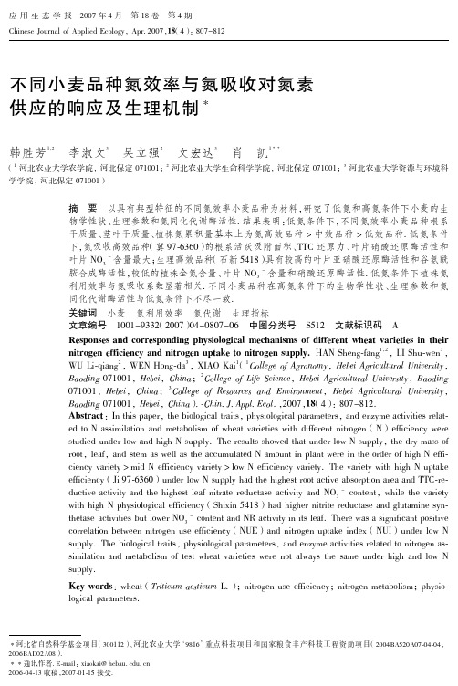 不同小麦品种氮效率与氮吸收对氮素供应的响应及生理机制