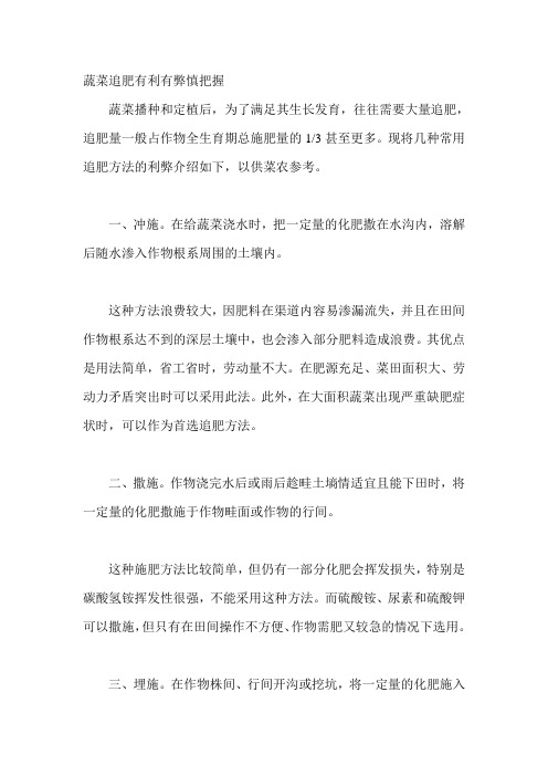 蔬菜追肥有利有弊慎把握