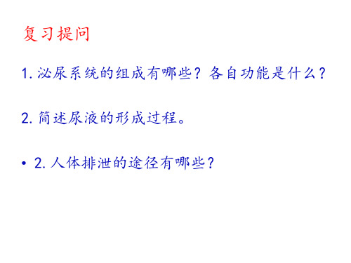 生物七年级下北师大版11.3皮肤与汗液分泌课件(16张)