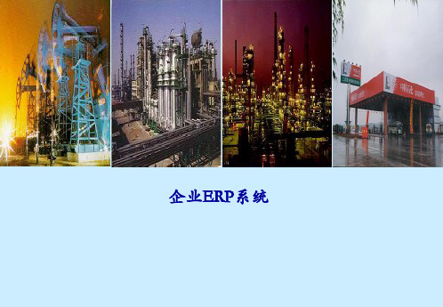 ERP系统的实施[中国石油]