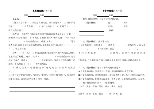 鸟的天堂练习题