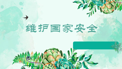人教版《道德与法治》八年级上册 9.2维护国家安全(共29张PPT)