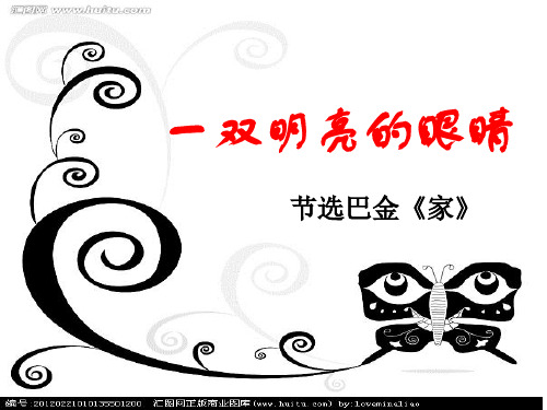 《一双明亮的眼睛》ppt课件1