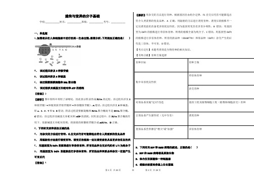 2019届中图版  遗传与变异的分子基础 单元 测试
