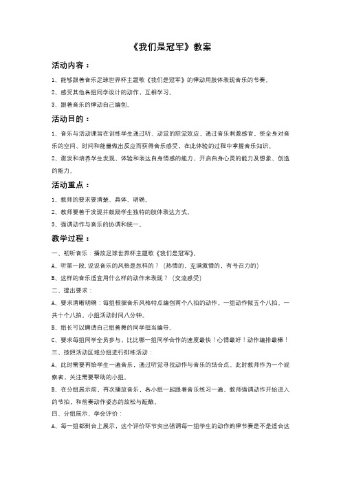 《我们是冠军》教案3