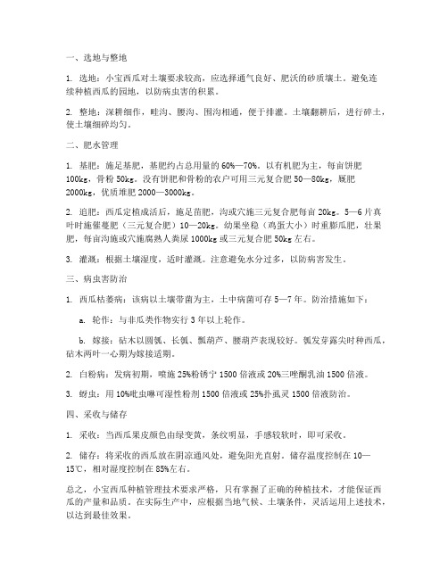种植小宝西瓜管理技术