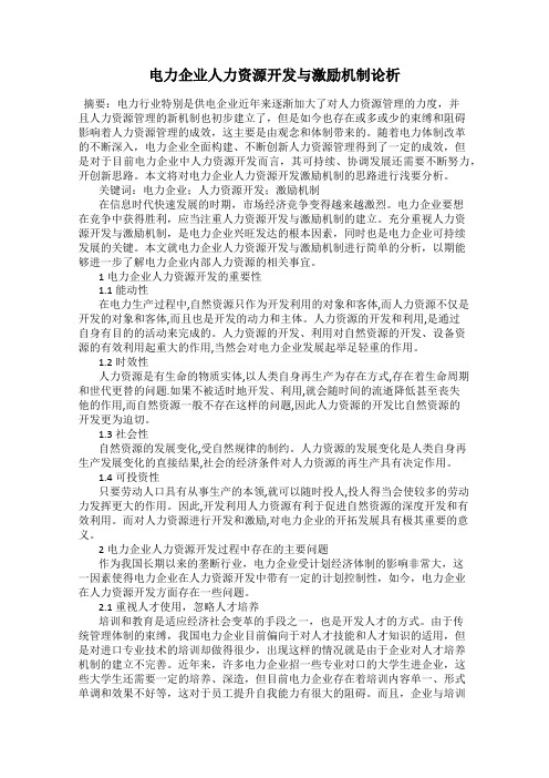 电力企业人力资源开发与激励机制论析