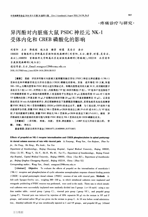 异丙酚对内脏痛大鼠PSDC神经元NK-1受体内化和CREB磷酸化的影响论文