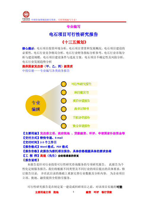 电石项目可行性研究报告