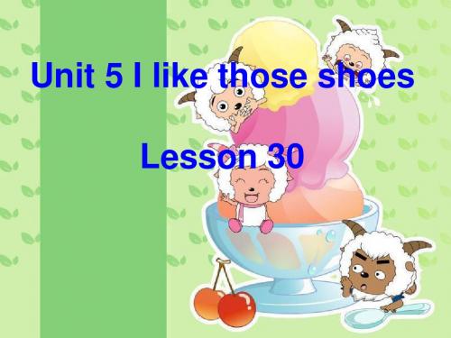 人教精通版英语四年级英语上册Unit 5《I like those shoes》(Lesson 30)精品课件