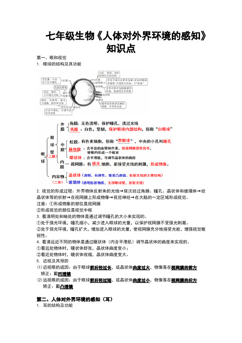 七年级生物《人体对外界环境的感知》知识点