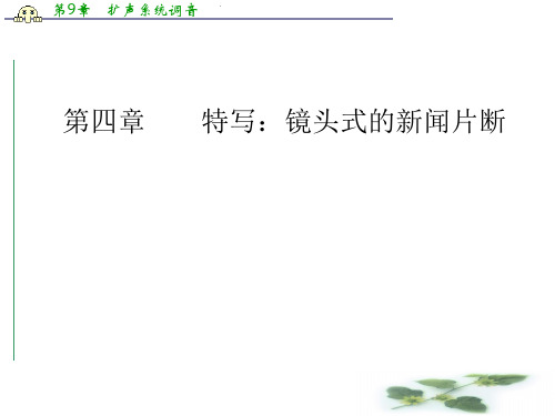 《金学案》语文·选修新闻阅读与实践(人教)课件：第四章第10课梦碎雅典