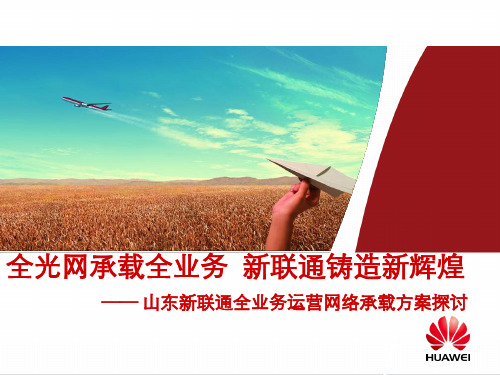 山东新联通全业务运营解决方案(完整版)