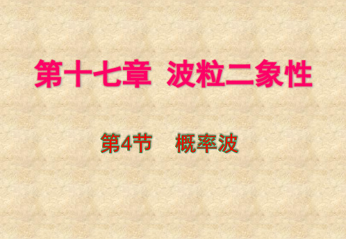 人教版高二物理选修3-5 17.4  概率波 课件(27张PPT)