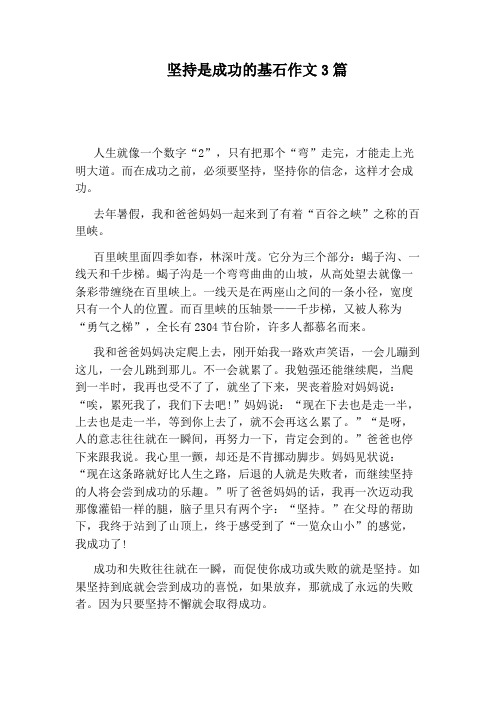 坚持是成功的基石作文3篇