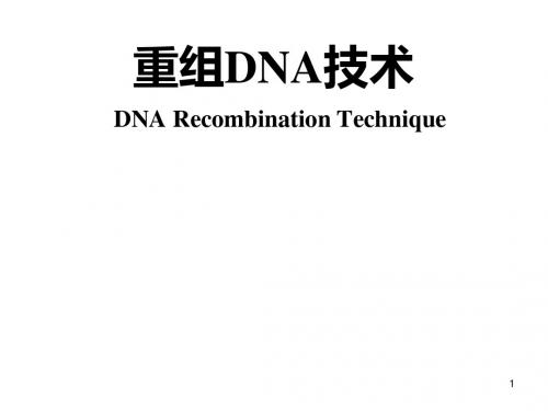 第8章DNA重组