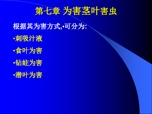 2010年 草地昆虫-7 吸汁害虫