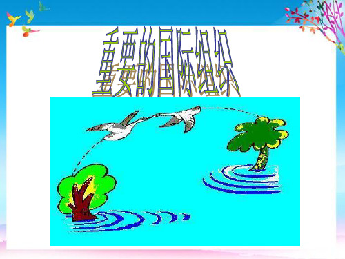 七年级地理上册5.3重要的国际组织课件新版湘教版2
