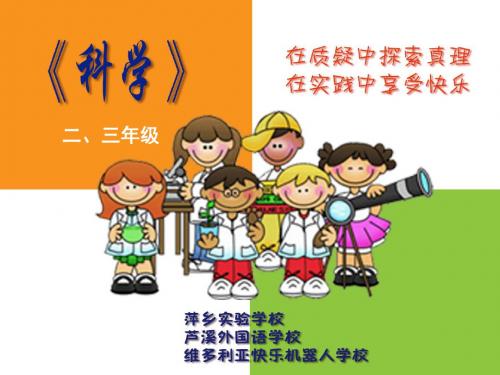 项目一根和茎的奥秘
