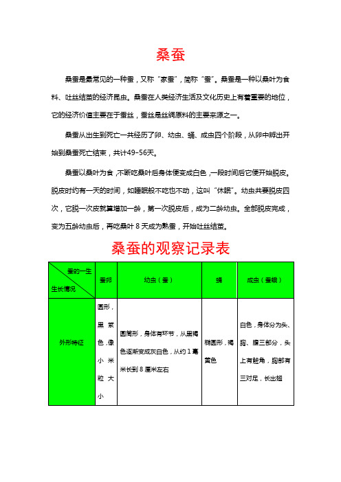 桑蚕