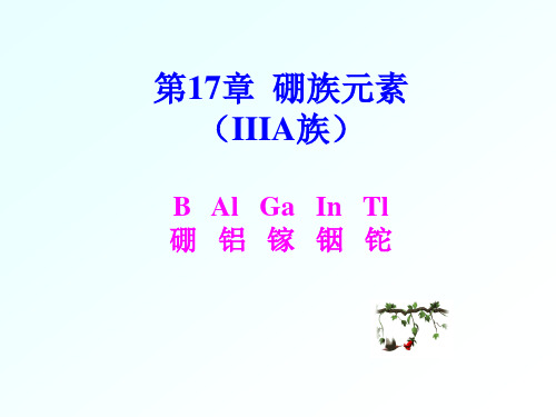 第2-6硼族元素