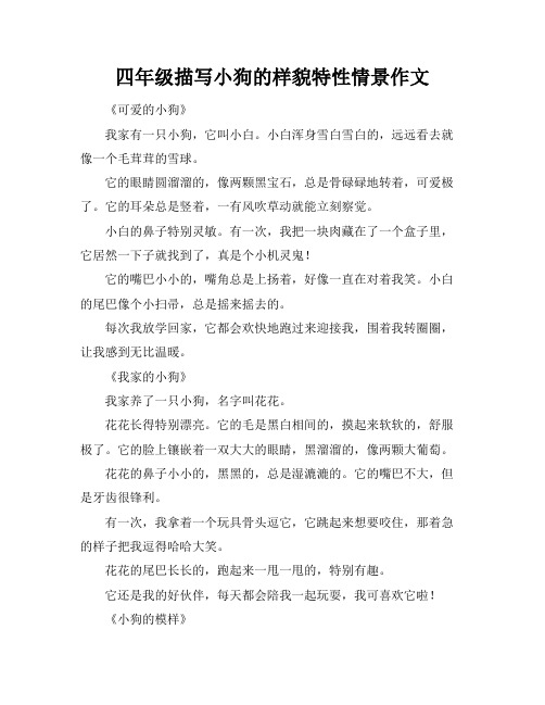 四年级描写小狗的样貌特性情景作文