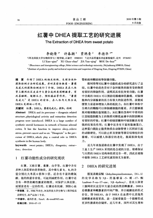 红薯中DHEA提取工艺的研究进展