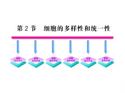 1.2 细胞的多样性和统一性(新人教版必修1)