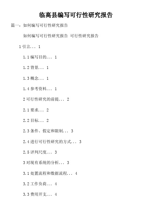 临高县编写可行性研究报告