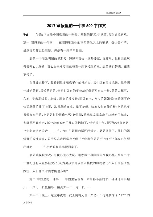 2017寒假里的一件事500字作文