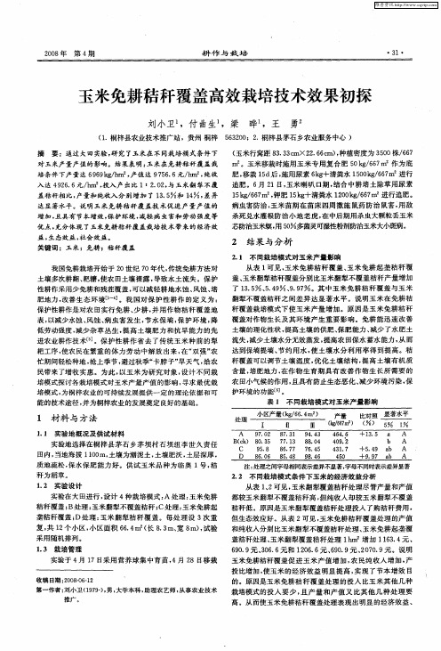玉米免耕秸秆覆盖高效栽培技术效果初探