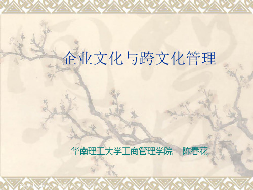 陈春花：企业文化与跨文化管理
