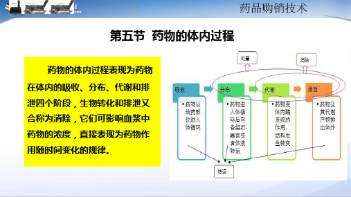 药物的体内过程