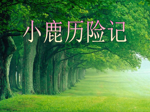 《小鹿历险记》PPT课件