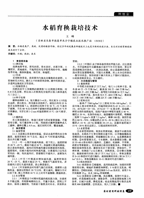 水稻育秧栽培技术