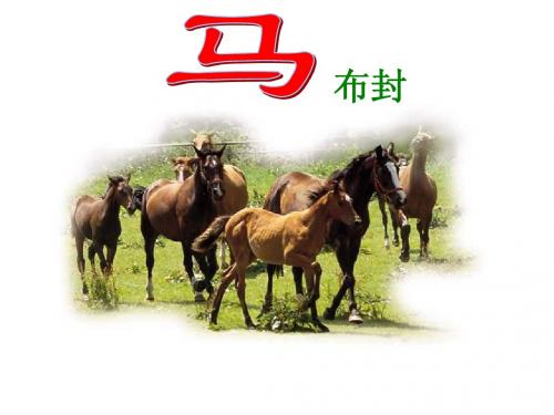 人教版初中语文七年级下册7下ppt《马》课件