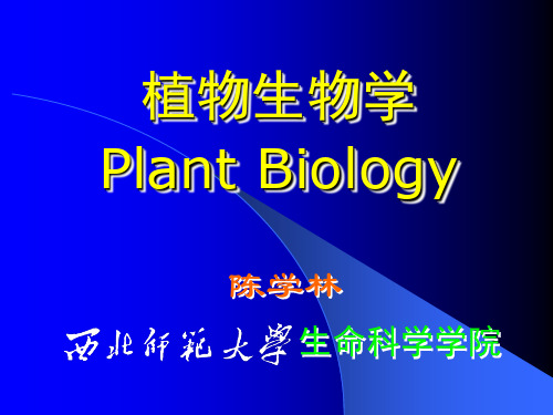 植物资源的开发利用
