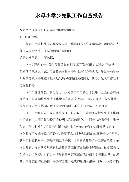 少先队工作自查报告