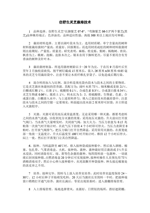 仿野生灵芝栽培技术