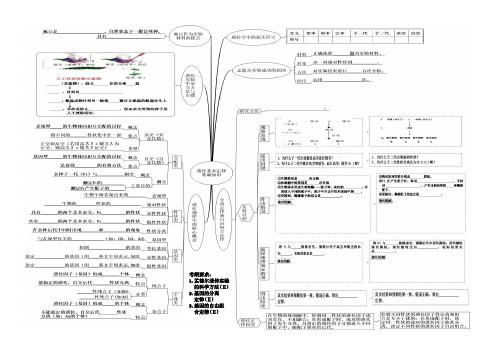 第5单元 遗传基本定律和应用思维导图