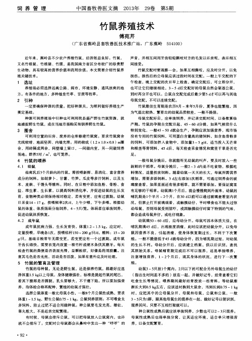 竹鼠养殖技术