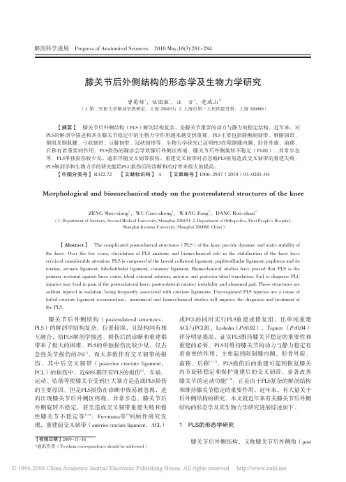 膝关节后外侧结构的形态学及生物力学研究