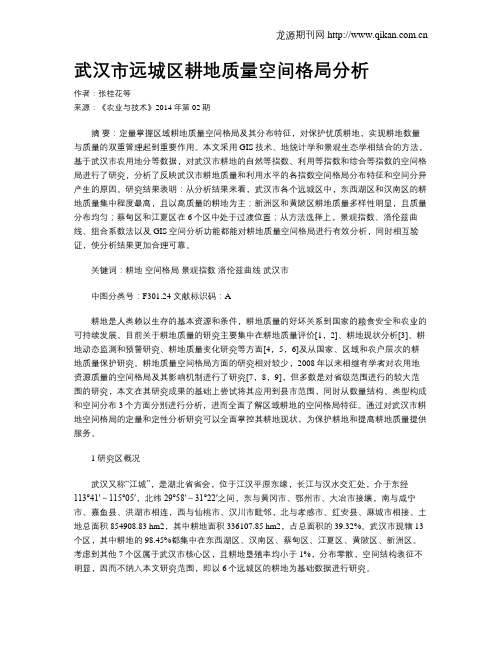 武汉市远城区耕地质量空间格局分析