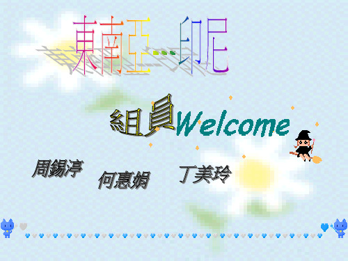 东南亚印尼.ppt