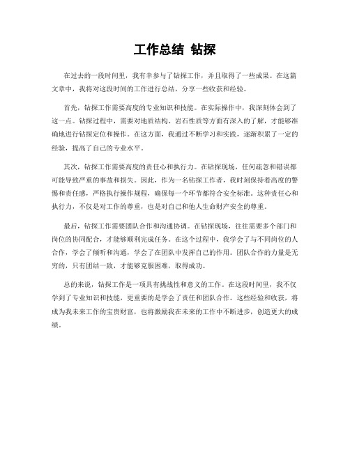 工作总结 钻探